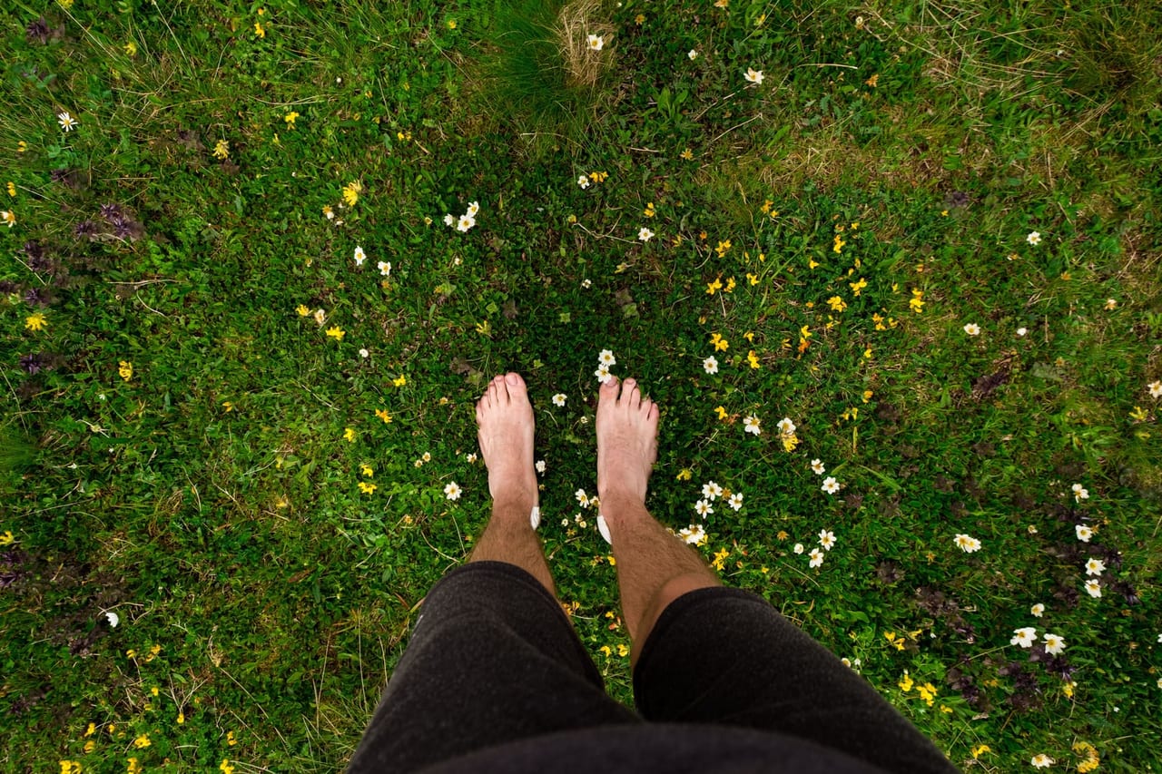 Top-down view of bare feet standing in a grassy meadow dotted with small wildflowers
