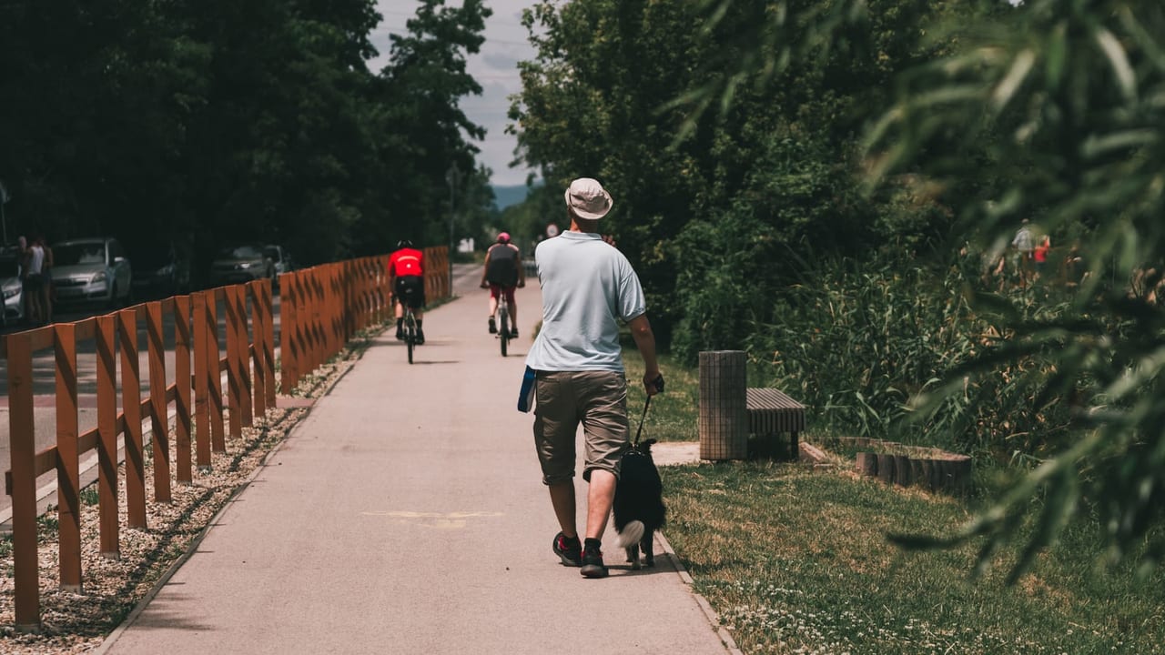 Man in a bucket hat and shorts walking a small dog along a tree-lined paved path