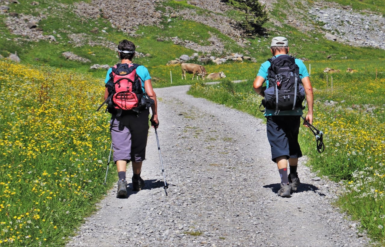 Two hikers with daypacks walking away along a gravel path through a flowering meadow