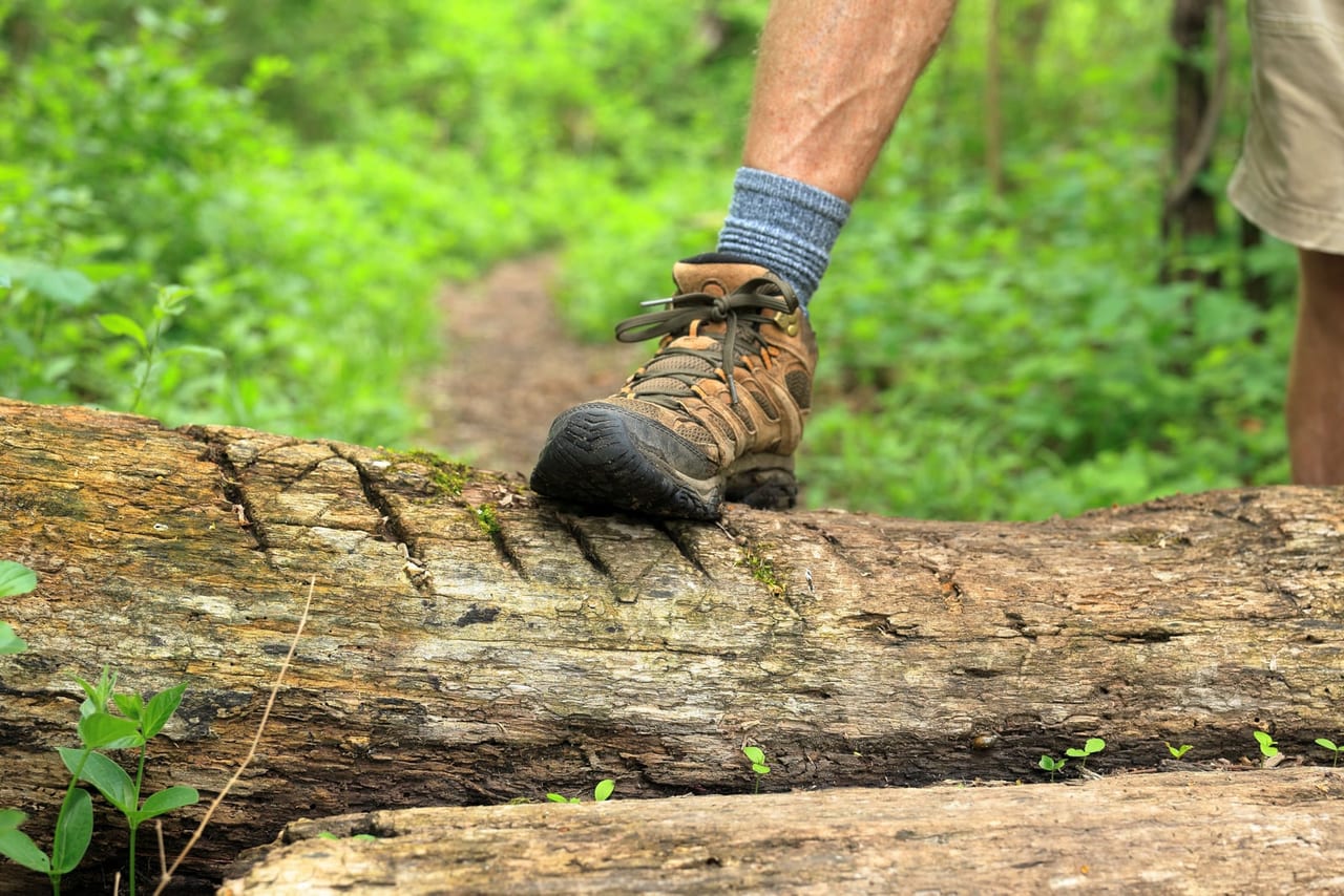 Brown hiking boot stepping onto a fallen log on a green forest trail