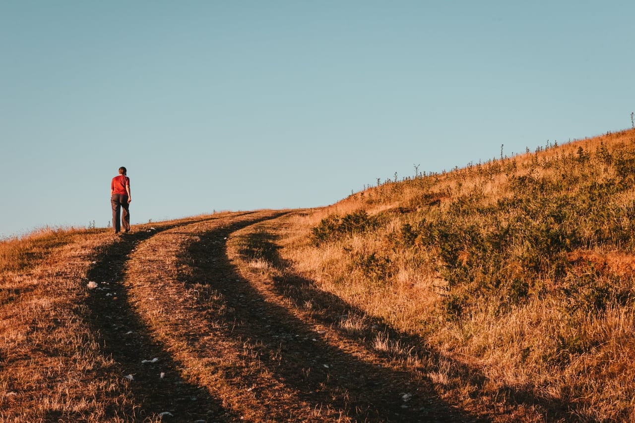 A walker in a red shirt climbs a gentle dirt path over a grassy hillside