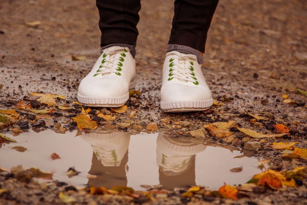 White lace-up shoes at the edge of a rain puddle scattered with autumn leaves