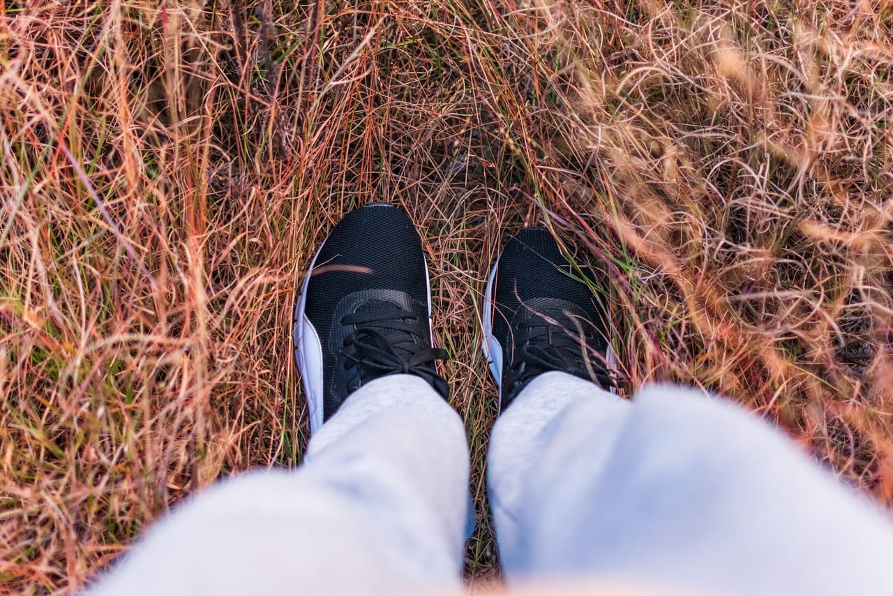 Looking down at black knit sneakers and light gray pants in tall dry grass