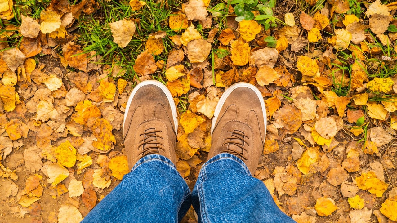 Brown suede lace-up shoes with thin white soles and rounded toes on yellow autumn leaves