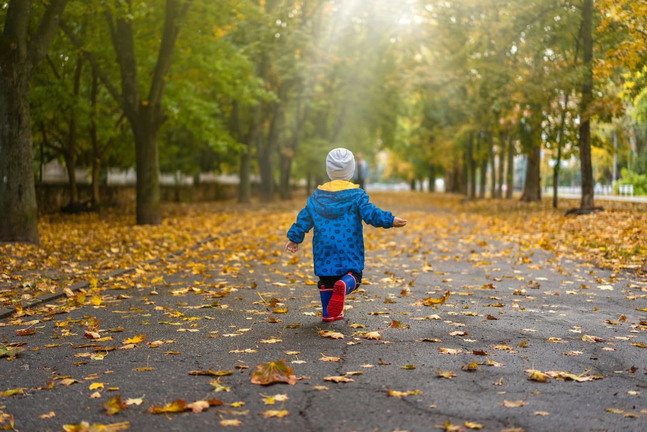 A small child in a blue jacket and rain boots walking away along a leaf-covered park path