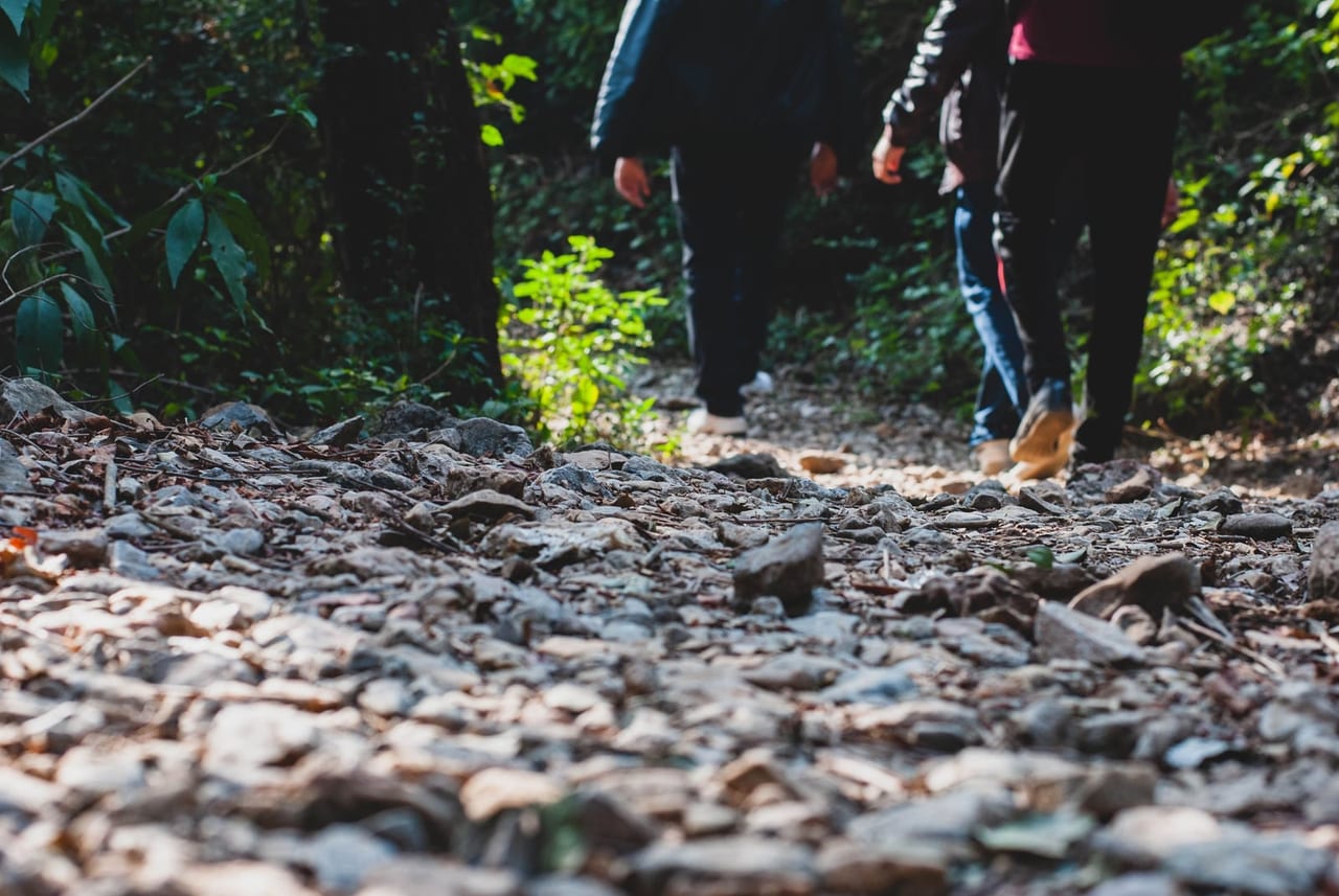 Low view of walkers moving along a stony forest trail in dappled sunlight