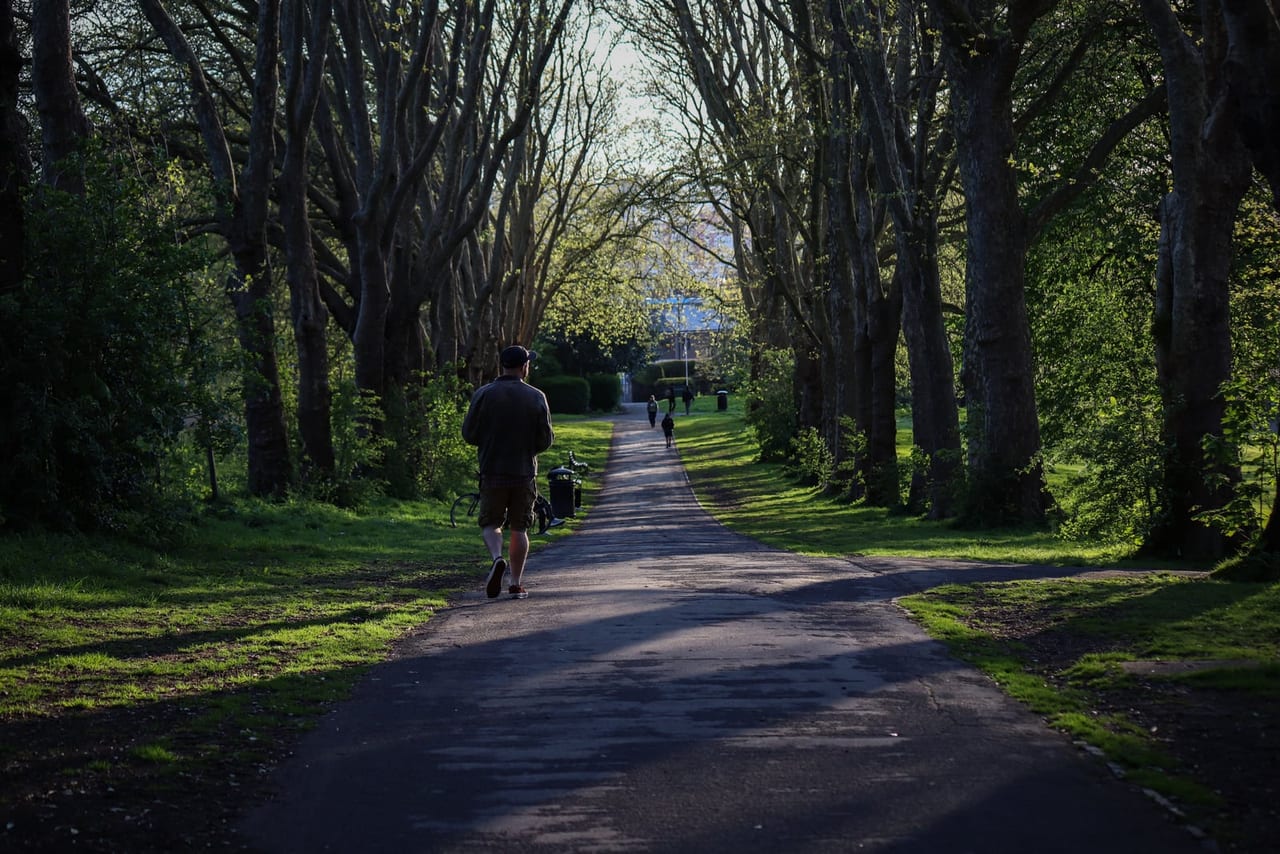 Person in a cap and shorts walking along a tree-lined park path in warm low sunlight