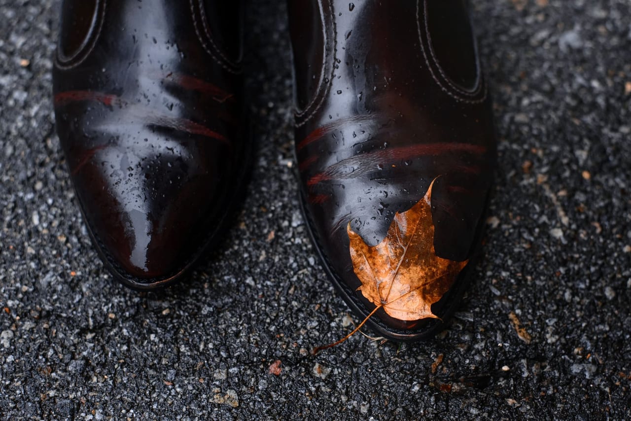 Wet dark leather shoes dotted with raindrops on gray asphalt with a fallen maple leaf