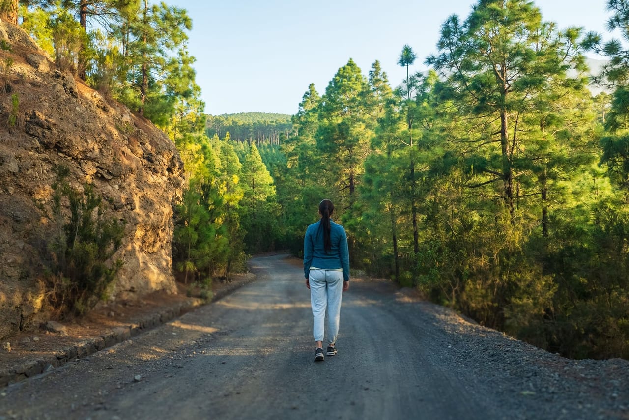 Woman in a blue jacket walking along a quiet road lined with pine trees
