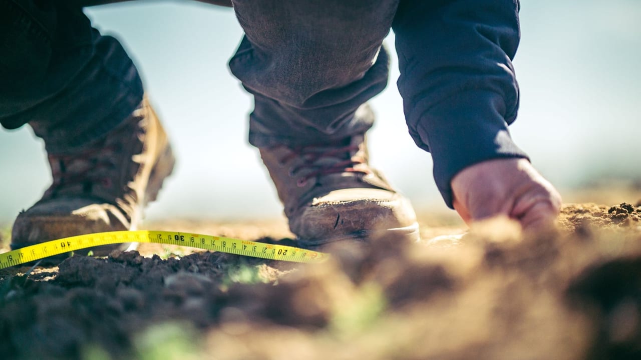 Worn leather work boots on bare soil beside a yellow tape measure stretched along the ground